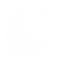 Domestic Shipping Icon