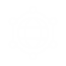 Global Network Icon