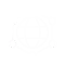 Global Network Icon